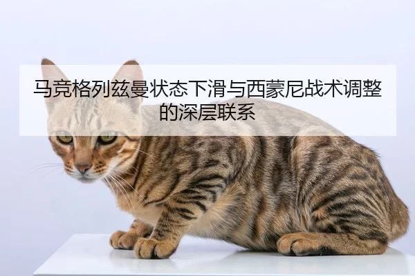 ma-jing-ge-lie-zi-man-zhuang-tai-xia-hua-yu-xi-meng-ni-zhan-shu-tiao-zheng-de-shen-ceng-lian-xi-2-566.jpg