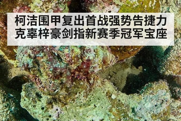 柯洁围甲复出首战强势告捷力克辜梓豪剑指新赛季冠军宝座